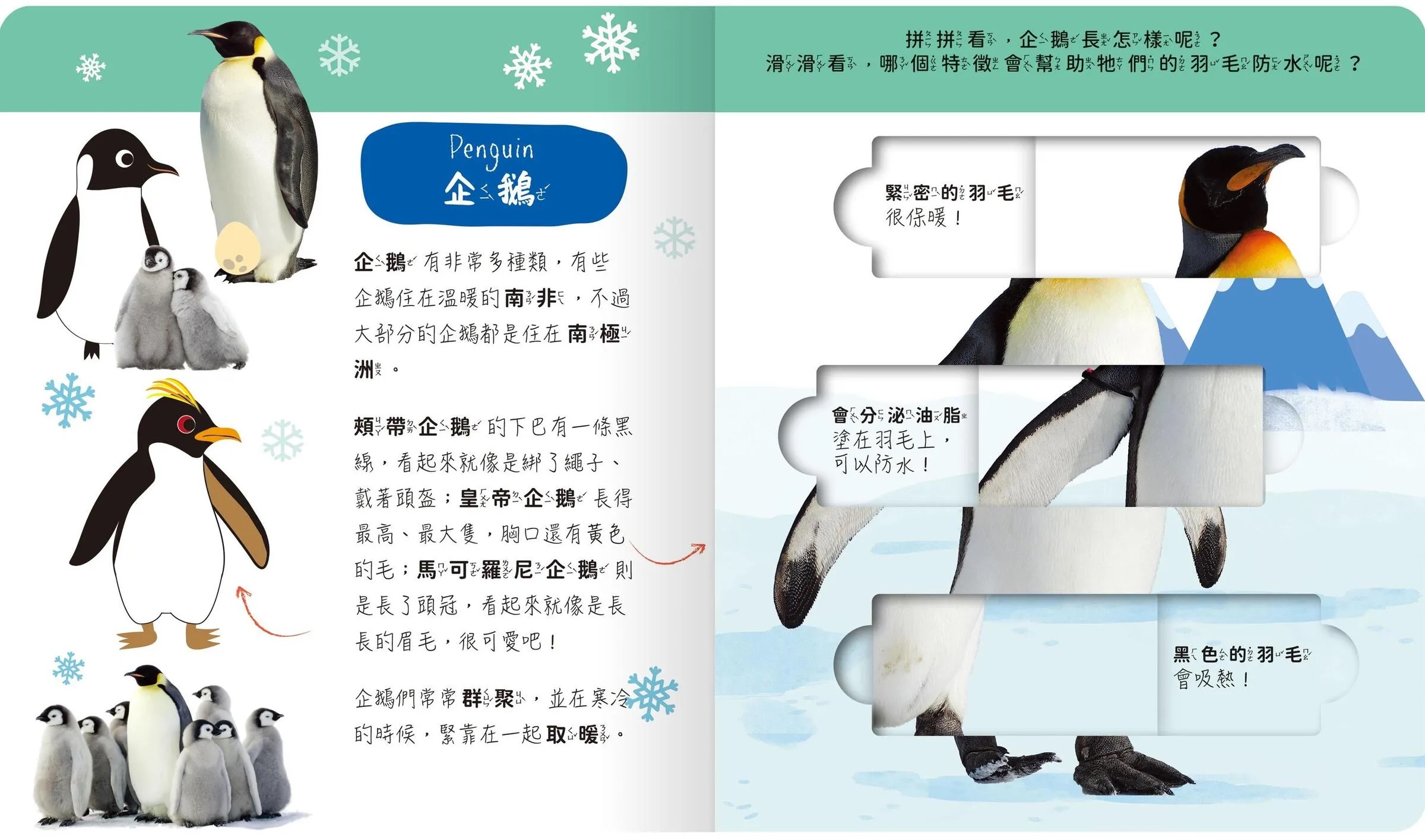 lovely puzzle-極地動物園